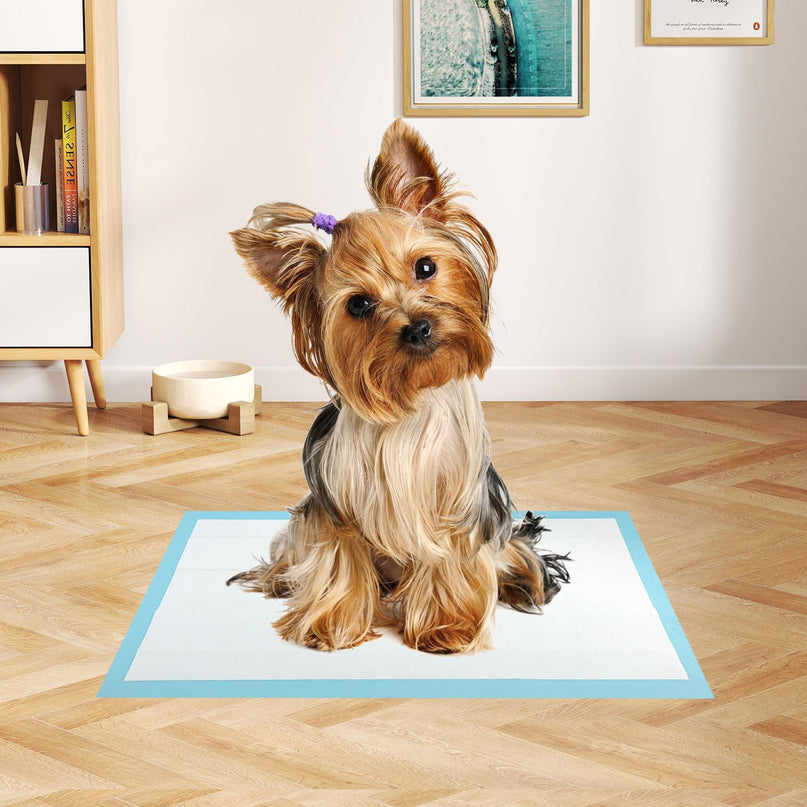 Giantex 300 Count 45 x 33 cm Puppy Training Pads for Small Dogs & Puppies