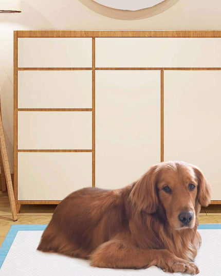 Giantex 90 x 90 CM Extra Large Dog Potty Pads for Dogs Doggie Cats Rabbits