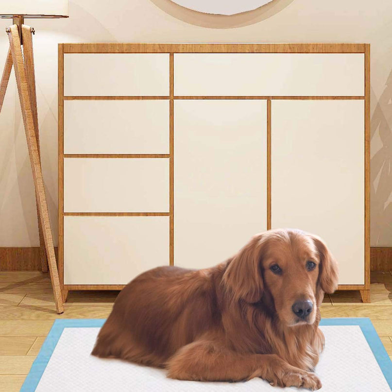 Giantex 90 x 90 CM Extra Large Dog Potty Pads for Dogs Doggie Cats Rabbits