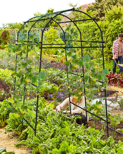 Garden Arch Trellis for Climbing Plants - Giantex
