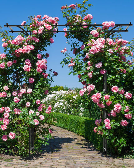 Giantex Garden Arch Trellis, Wedding Arbor for Ceremony Party, 79''W x 81''H, Metal Garden Arbor for Climbing Plants Rose