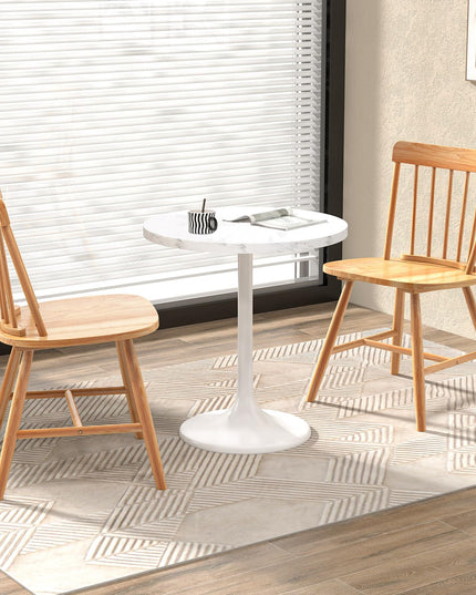 Giantex Windsor Dining Chairs Set of 2/4, Farmhouse Kitchen Chairs w/Rubber Wood Frame, Elegant Hollowed Backrest