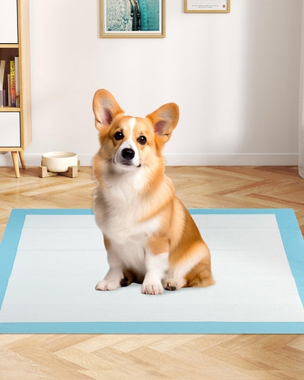 Giantex 90 x 60 cm Large Training Pads for Dogs for House Training