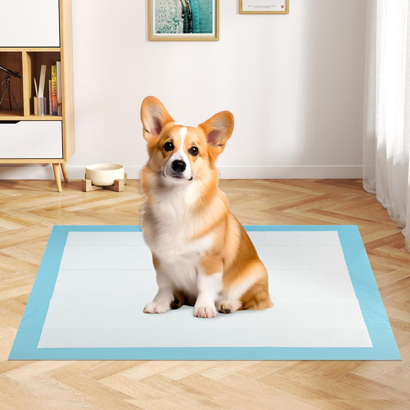 Giantex 90 x 60 cm Large Training Pads for Dogs for House Training