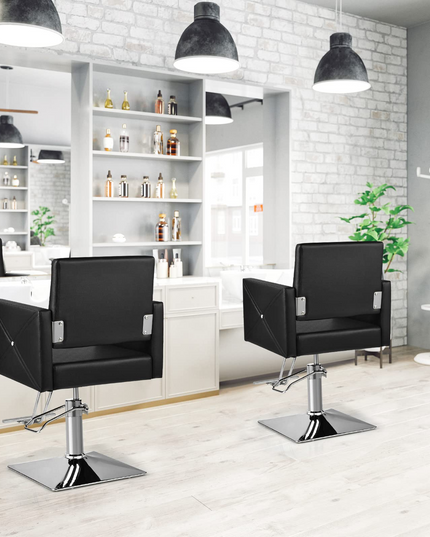 Makeup Hair Salon Chairs for Hair Stylist, Load up 330 LBS