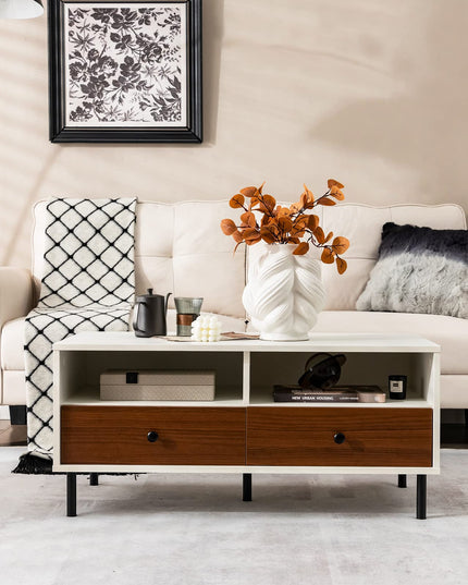 Giantex Rectangular Coffee Table with Storage, 2 Tier Wood Tea Table with 2 Drawers