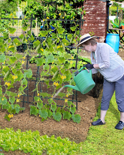 Giantex Cucumber Trellis, Trellis for Climbing Plants Outdoor