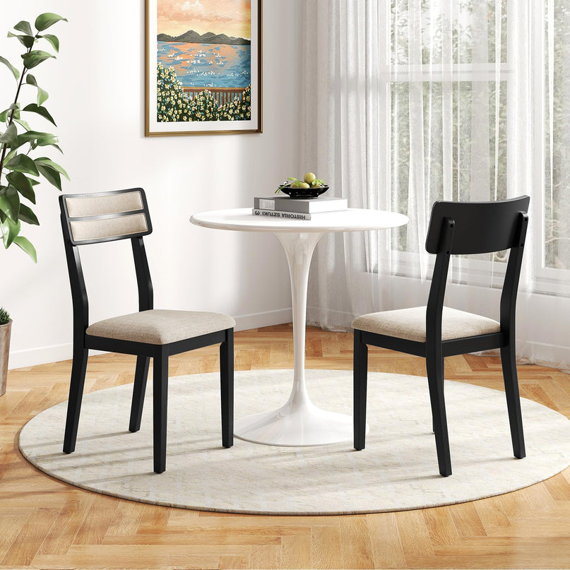 Giantex Modern Dining Chairs Set of 2/4
