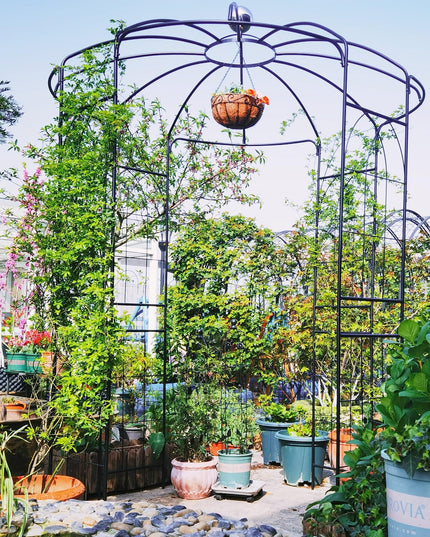 Giantex Birdcage Shape Gazebo - 9.4' H x 6.8' W Metal Arch Trellis for Climbing Plants Clematis Vines