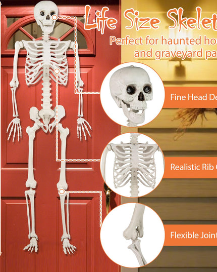 Giantex 5.4 FT Halloween Life Size Skeleton with Movable Joints