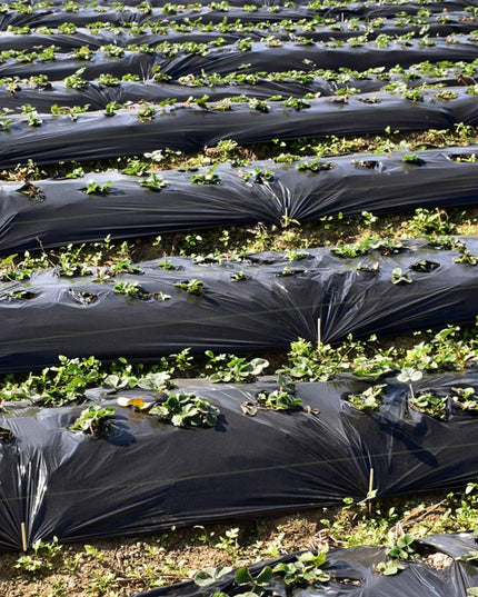 Giantex 6.5x330 FT Weed Barrier Landscape Fabric, 3.2OZ Heavy-Duty Permeable Woven PP Ground Cover