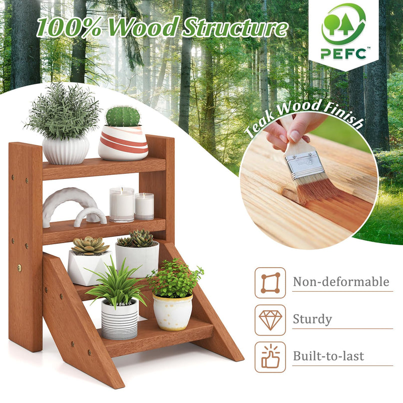 Giantex 4 Tier Small Tabletop Ladder Shelf for Succulents