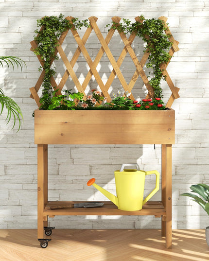 Giantex Raised Garden Bed on Wheels, Rolling Planter Boxes with Trelli