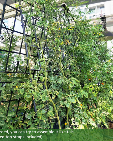 Giantex Treillis de jardin pour plantes grimpantes, 1,80 m, en acier galvanisé