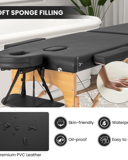 Giantex Massage Table, Portable Massage Bed w/Carrying Case, 2-Section Salon Spa Facial Care Tattoo Bed