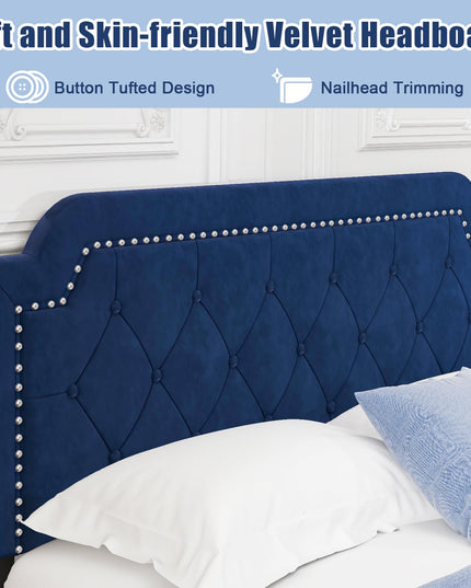 Giantex Velvet Queen Size Bed Frame, Upholstered Platform Bed with Button Tufted & Nailhead Trim Headboard