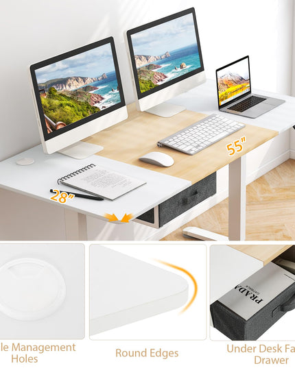 Giantex Electric Standing Desk