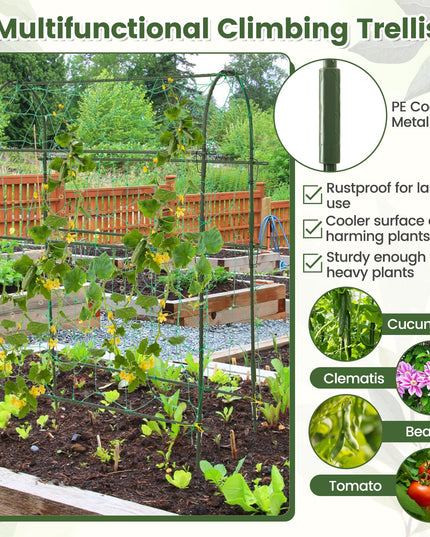 Giantex Raised Garden Bed with Climbing Trellis, Self-Watering Elevated Planter