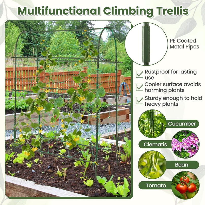 Giantex Raised Garden Bed with Climbing Trellis, Self-Watering Elevated Planter
