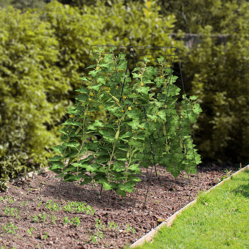 Treillis de Concombre Giantex à 4 Panneaux, Treillis de Jardin en Forme de A pour Plantes Grimpantes