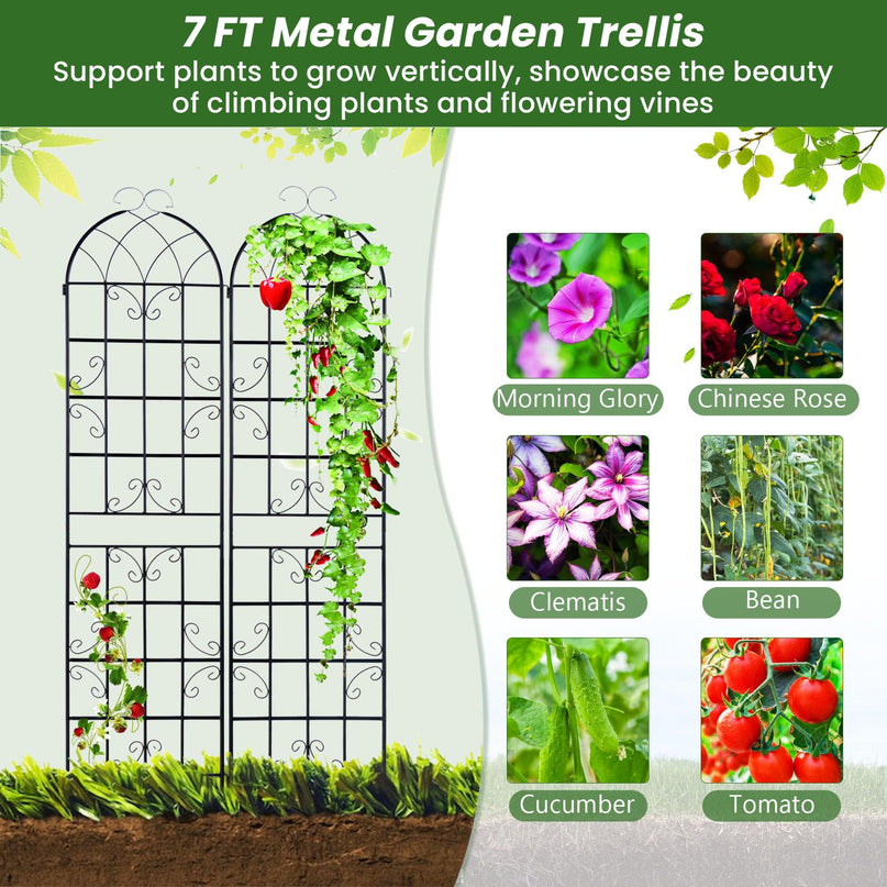 Giantex 2 Pack Trellis for Climbing Plants Outdoor, 7 FT Tall Galvanized Steel Garden Trellis