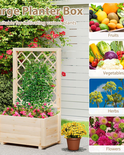 Giantex Raised Garden Bed with Trellis for Climbing Vine Flower Herb Vegetable Fruit