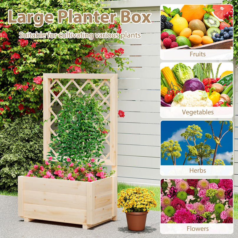 Giantex Raised Garden Bed with Trellis for Climbing Vine Flower Herb Vegetable Fruit