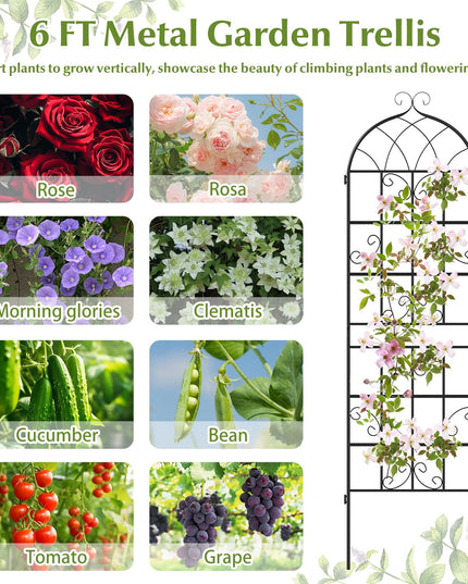 Giantex 71"x20" Metal Garden Trellis for Outdoor Climbing Plants(2/4 Packs)