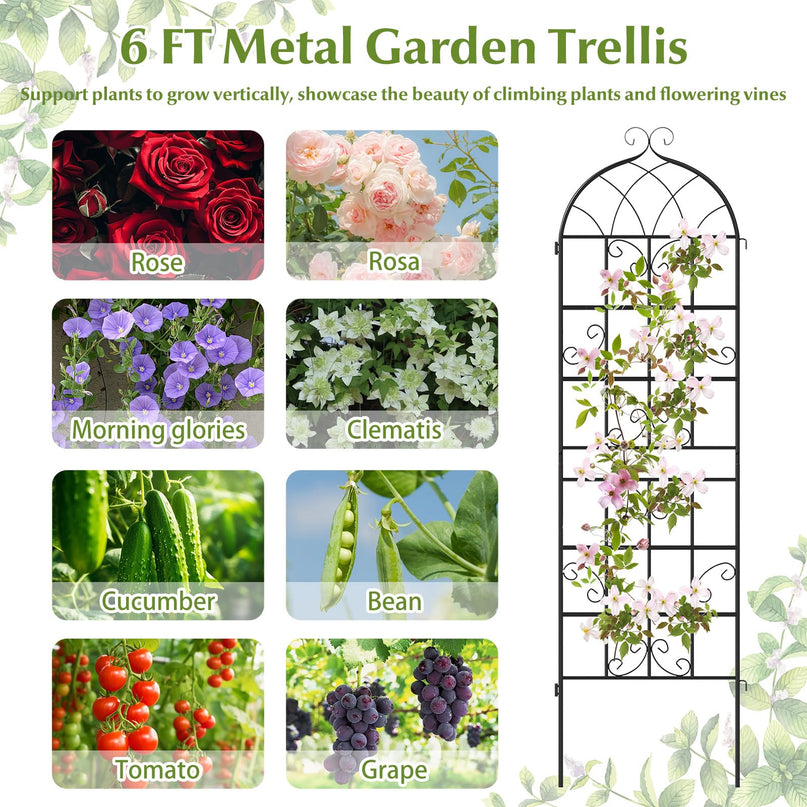 Giantex Treillis de jardin métallique de 180 cm x 50 cm pour plantes grimpantes d'extérieur (lot de 2/4)
