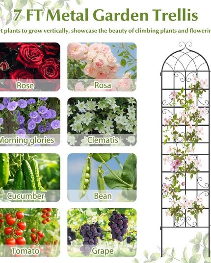 Giantex 86"x20" Metal Garden Trellis for Outdoor Climbing Plants(2/4 Packs)