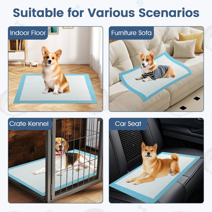 Giantex 90 x 60 cm Large Training Pads for Dogs for House Training