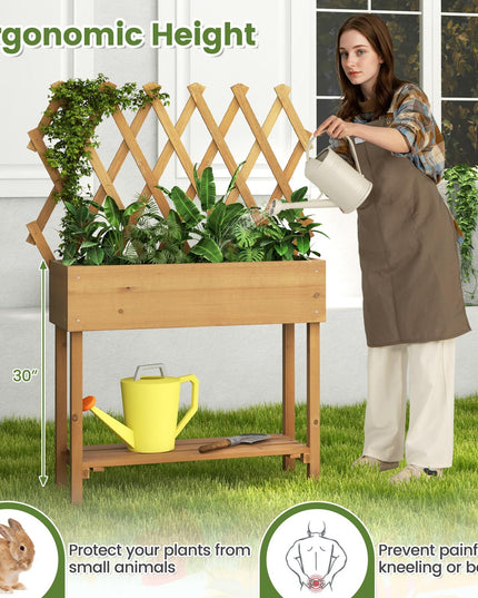 Giantex Raised Garden Bed on Wheels, Rolling Planter Boxes with Trelli
