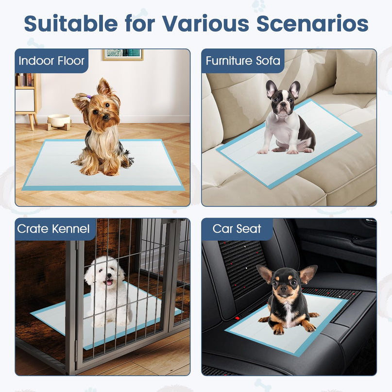 Giantex 60 x 43 cm Puppy Training Pads for Small Dogs