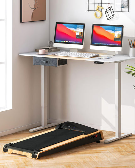 Giantex Electric Standing Desk