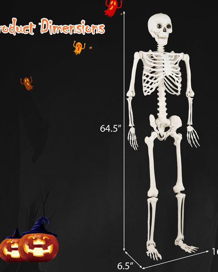 Giantex 5.4 FT Halloween Life Size Skeleton with Movable Joints