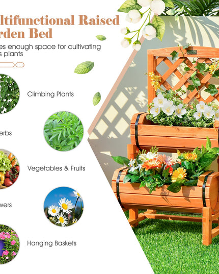 Giantex Raised Garden Bed with 2 Barrel Planters & Trellis, 2-Tier Freestanding Wooden Raised Bed for Vegetable Flower Fruit