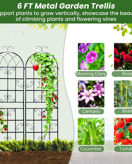 Giantex Treillis de jardin pour plantes grimpantes, 1,80 m, en acier galvanisé