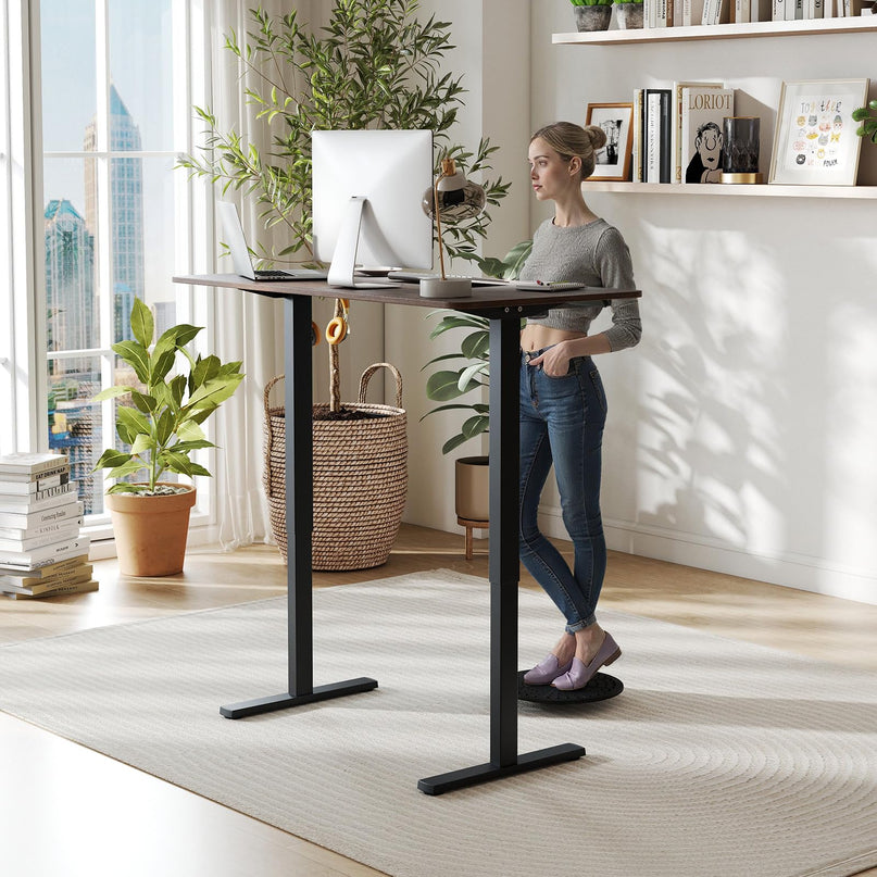 Giantex 48" x 24" Ergonomic Height Adjustable Sit to Stand Desk with 3 Memory Preset