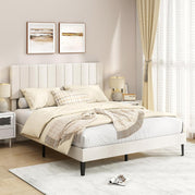 Reine / Beige